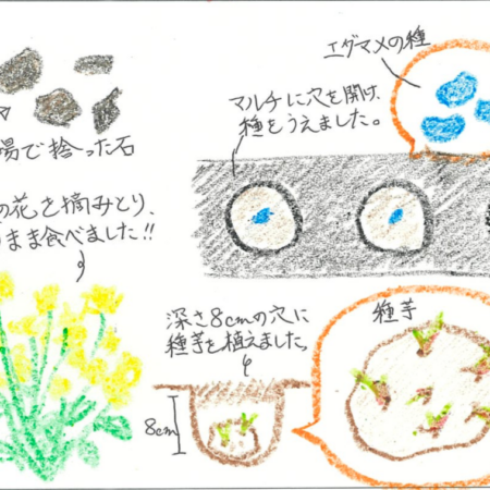 2026年3月24日　農園日記