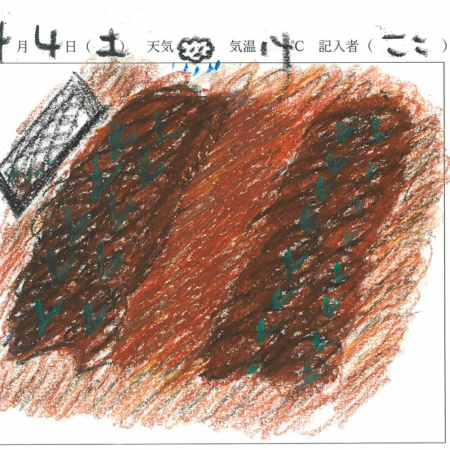 2026年4月4日　農園日記