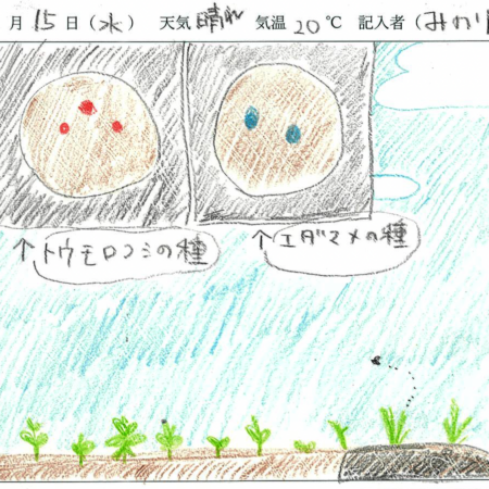 2026年4月15日　農園日記