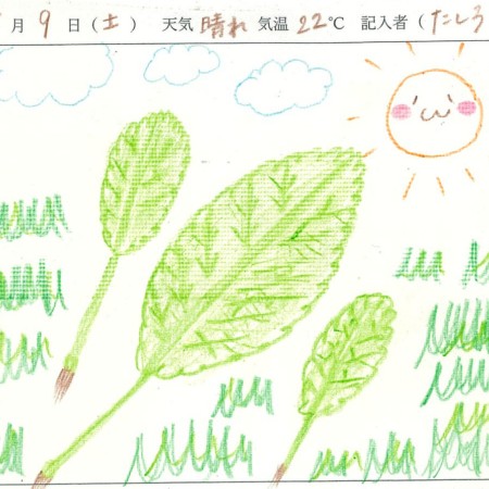 2026年5月9日　農園日記